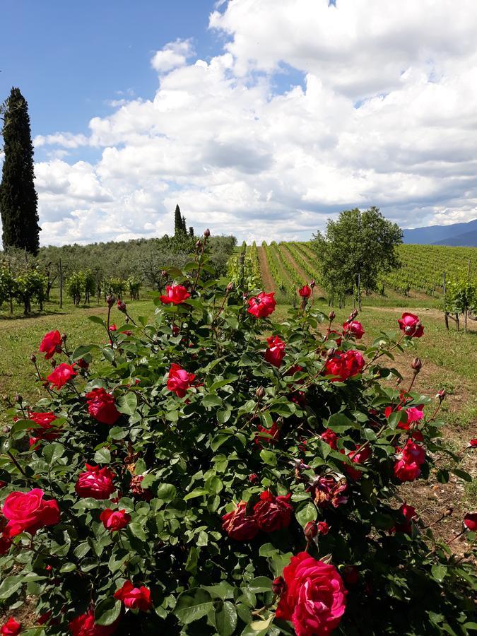 Villa La Vecchia Quercia Pergine Valdarno Exterior foto